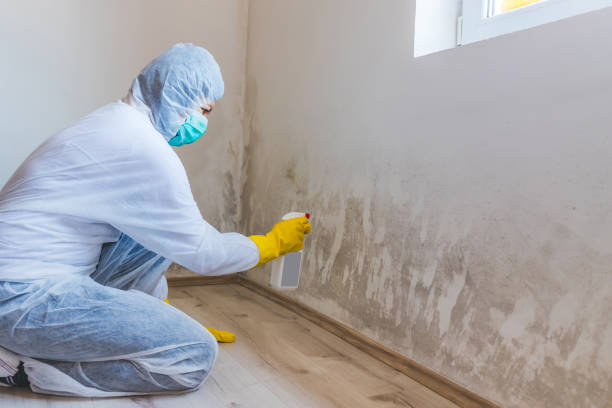 Bathroom Mold Removal assessment in Hempstead bathroom